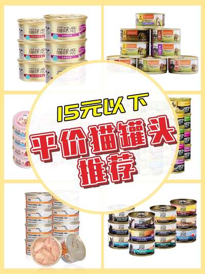 猫主食罐头推荐：如何选到真正能当饭吃的罐头