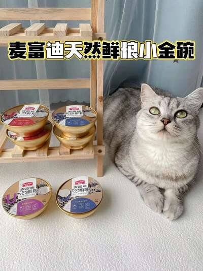 挑食猫不爱喝水？麦富迪小金碗一罐解决两大喂养难题