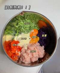 比熊去泪痕终极方案：自制清火营养肉丸辅食配方与实操