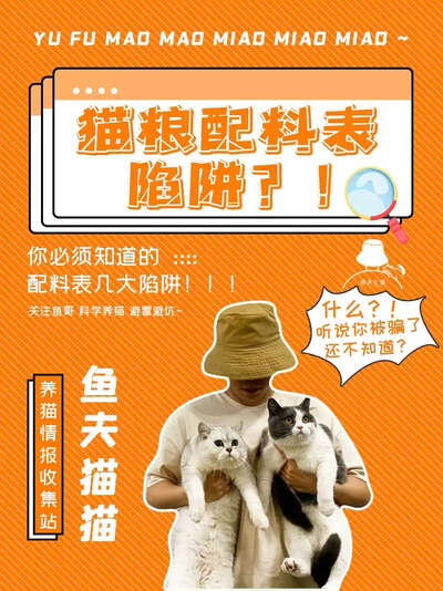 猫粮配料表暗藏陷阱，新手选粮必看避坑指南