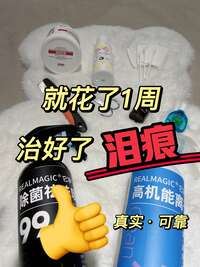 狗狗泪痕重怎么办？资深铲屎官一周祛泪痕的实操方案