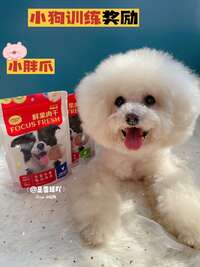 训练零食选对了吗？小胖爪鲜果肉干深度实测