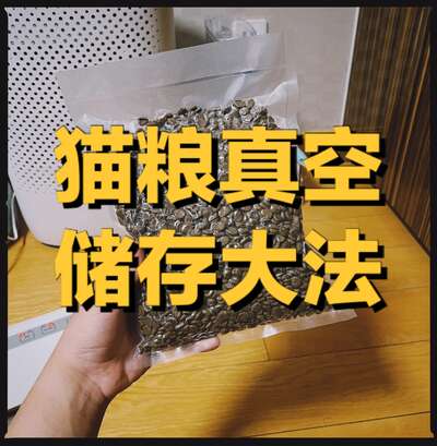 养两只布偶猫一个月要花多少钱？我扒了一笔真实账单出来