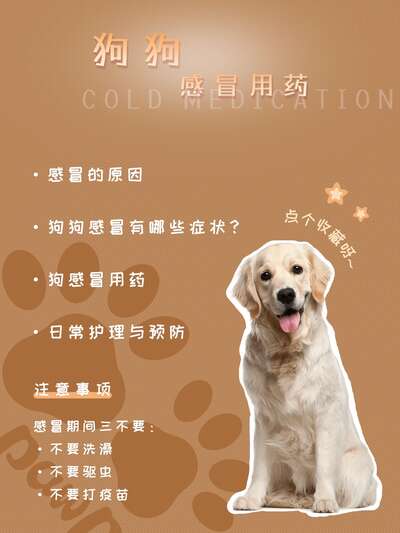 狗狗感冒还是犬瘟？一张对比表让你三分钟判断，千万别搞错了