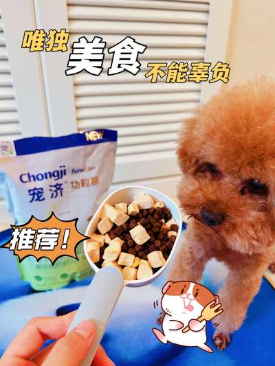 宠济功能粮冻干狗粮实测：农科院同济大学联合研发89%含肉+白藜芦醇益生菌乳铁蛋白三重免疫+足量羊奶粉7天安全换粮
