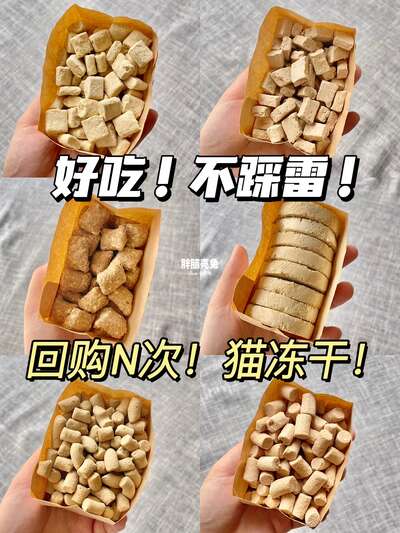 新手养猫第一课：6款经得起推敲的国产猫粮横向对比