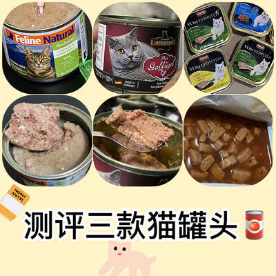 3款猫主食罐头实测对比与选购指南：软便猫怎么选
