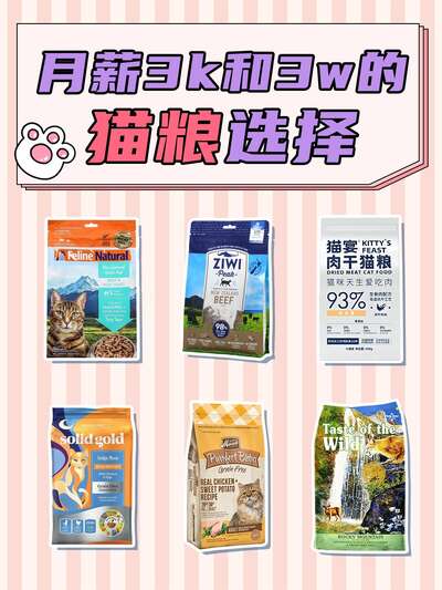新手养猫攻略月薪3k和3w怎么选猫粮：3年养猫经验帮你找到最适合的猫粮不花冤枉钱