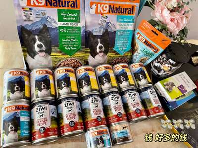边牧7个月回购清单：从踩雷到只留精华的狗产品推荐