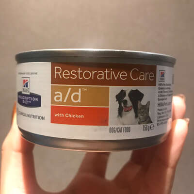 猫咪绝育术后吃什么？AD处方罐头和日常补品的正确打开方式