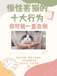 这10种日常操作其实在慢性伤害猫咪，第一条几乎所有人都做过
